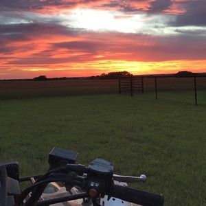 Meet your Posher, Hollie